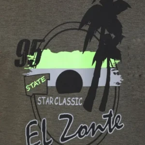 Men's Regular-Fit Print T-Shirt – Style 062